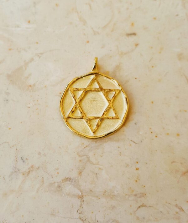 14k Gold Finish Star Of David Pendant With Rope Chain – Solid 316L Stainless Steel, CZ Accents