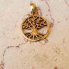 gold judaica necklace,