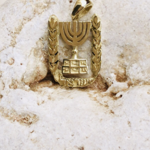 gold israel symbol necklace,